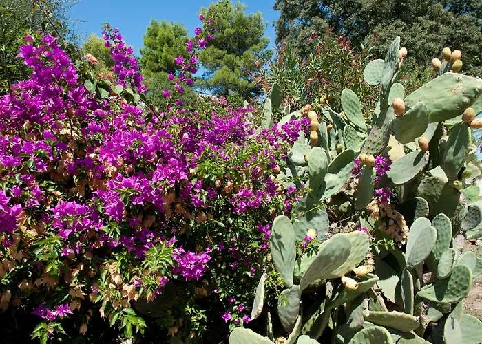 Ostuni A MareAlbergo